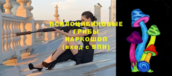 марки lsd Заводоуковск