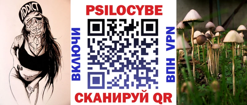 Купить закладки  Поворино  Галлюциногенные грибы Psilocybe 